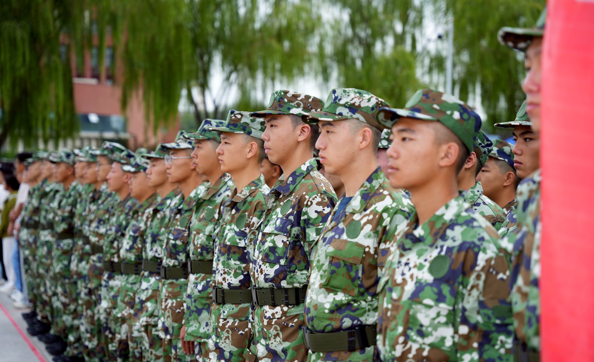 53D02